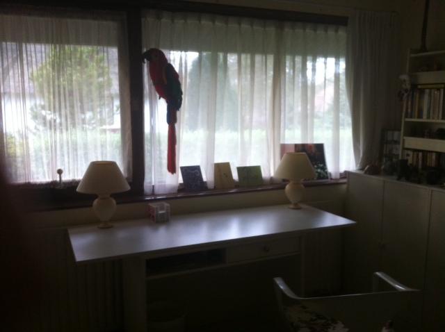 B&B Jagerslaan Wassenaar Quarto foto